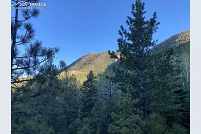 285 Forest Road, Manitou Springs, CO 80829 - Photo 5