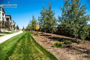 7671 Ochre Vw, Colorado Springs, CO 80908 - Photo 3