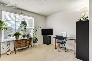 3351 Queen Anne Way, Colorado Springs, CO 80917 - Photo 21