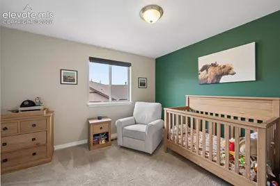 2941 Lakefront Drive, Monument, CO 80132 - Photo 19