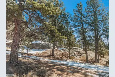 10448 County Road 1, Florissant, CO 80816 - Photo 37