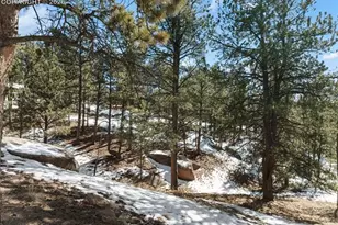 10448 Co Rd 1, Florissant, CO 80816 - Photo 35
