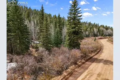 464 E Bison Creek Trail, Florissant, CO 80816 - Photo 5