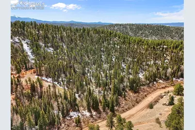 464 E Bison Creek Trail, Florissant, CO 80816 - Photo 9
