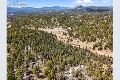 464 E Bison Creek Trail, Florissant, CO 80816 - Photo 11