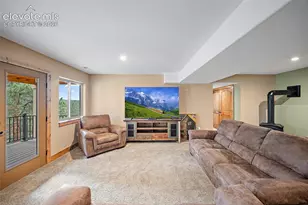 367 Cottonwood Lake Dr, Divide, CO 80814 - Photo 25