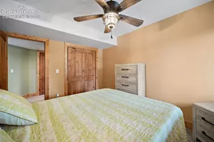 367 Cottonwood Lake Dr, Divide, CO 80814 - Photo 29
