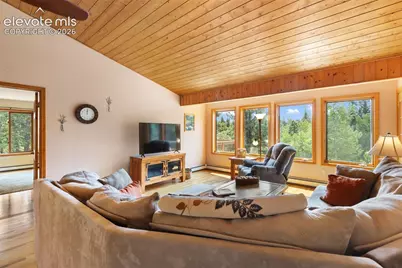 94 Pinewood Circle, Divide, CO 80814 - Photo 5