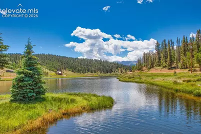 94 Pinewood Circle, Divide, CO 80814 - Photo 43
