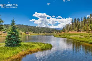 94 Pinewood Cir, Divide, CO 80814 - Photo 43