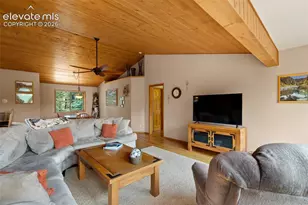 94 Pinewood Cir, Divide, CO 80814 - Photo 7