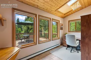 94 Pinewood Cir, Divide, CO 80814 - Photo 27