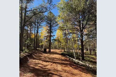 800 Timber Ridge Road, Divide, CO 80814 - Photo 3