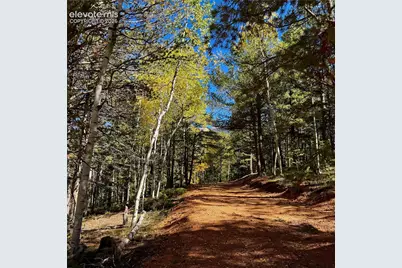 800 Timber Ridge Road, Divide, CO 80814 - Photo 5