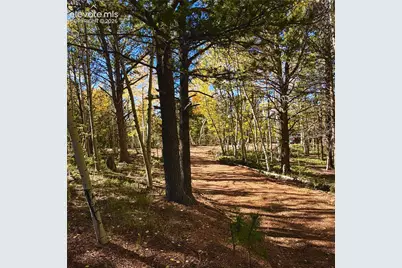 800 Timber Ridge Road, Divide, CO 80814 - Photo 11