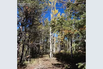 800 Timber Ridge Road, Divide, CO 80814 - Photo 15