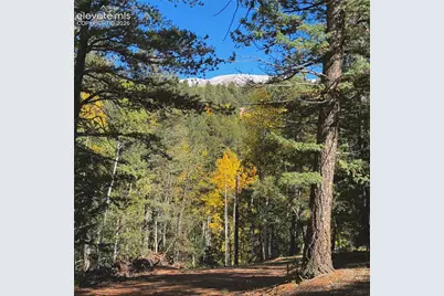 800 Timber Ridge Road, Divide, CO 80814 - Photo 17