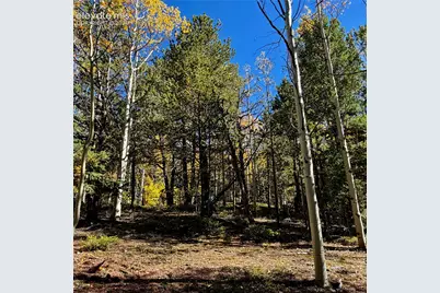 800 Timber Ridge Road, Divide, CO 80814 - Photo 9