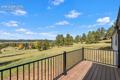 131 Dillon Lane, Florissant, CO 80816 - Photo 25
