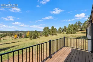 131 Dillon Ln, Florissant, CO 80816 - Photo 25
