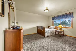 143 Ring Rd, Guffey, CO 80820 - Photo 19