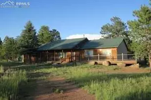 143 Ring Rd, Guffey, CO 80820 - Photo 1