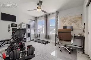 10129 Germander Grove, Colorado Springs, CO 80924 - Photo 17