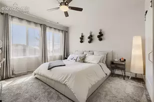 10129 Germander Grove, Colorado Springs, CO 80924 - Photo 11