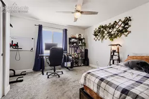 10129 Germander Grove, Colorado Springs, CO 80924 - Photo 19
