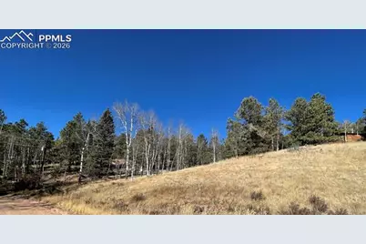 3090 N Mountain Estates Road, Florissant, CO 80816 - Photo 3