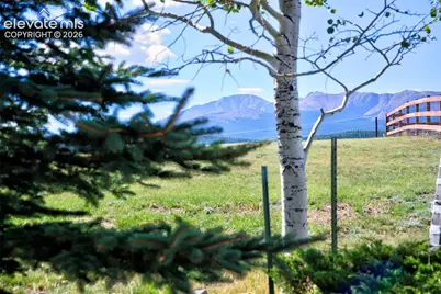 32 Dartmouth Place, Woodland Park, CO 80863 - Photo 33