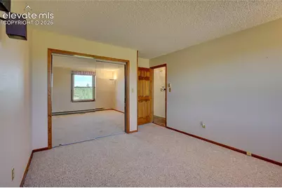 32 Dartmouth Place, Woodland Park, CO 80863 - Photo 19