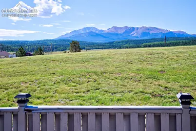 32 Dartmouth Place, Woodland Park, CO 80863 - Photo 35