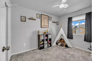 7649 Grand Fir Point, Colorado Springs, CO 80908 - Photo 19