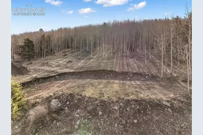 690 Anges Drive, Cripple Creek, CO 80813 - Photo 23