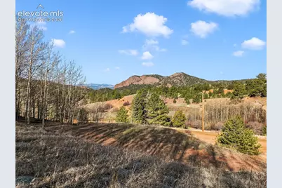 690 Anges Drive, Cripple Creek, CO 80813 - Photo 9