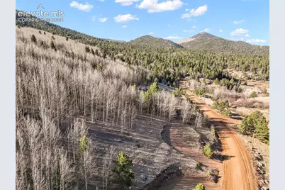 690 Anges Drive, Cripple Creek, CO 80813 - Photo 19