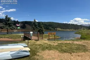 65 Shadow Lake Dr, Divide, CO 80814 - Photo 19