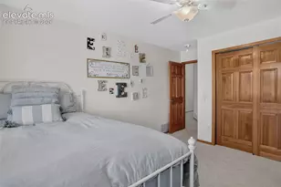 6648 Barrel Race Dr, Colorado Springs, CO 80923 - Photo 39