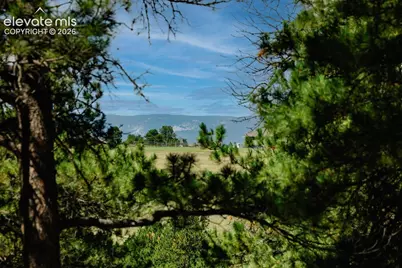 4125 Walker Vista Heights, Colorado Springs, CO 80908 - Photo 5
