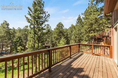1257 W Midland Avenue, Woodland Park, CO 80863 - Photo 35
