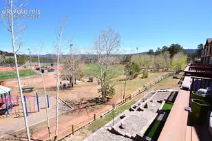 806 Misty Pines Cir, Woodland Park, CO 80863 - Photo 11