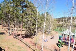 806 Misty Pines Cir, Woodland Park, CO 80863 - Photo 23