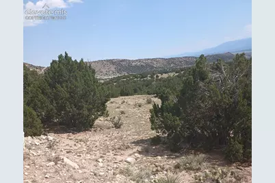 1731 County Road 69, Canon City, CO 81212 - Photo 29