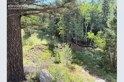 3300-3278 N Mountain Estates Road, Florissant, CO 80816 - Photo 9