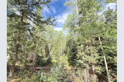 3300-3278 N Mountain Estates Road, Florissant, CO 80816 - Photo 5
