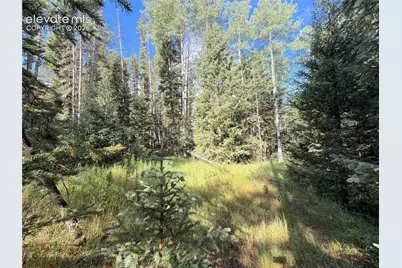 3300-3278 N Mountain Estates Road, Florissant, CO 80816 - Photo 13