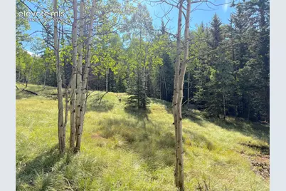 3300-3278 N Mountain Estates Road, Florissant, CO 80816 - Photo 11