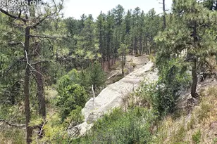 4465 Leprechaun Ln, Colorado Springs, CO 80908 - Photo 3