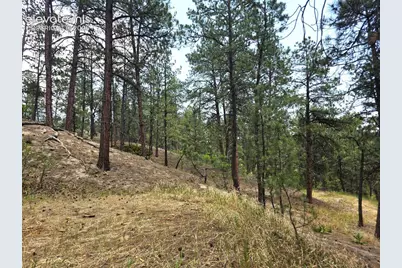 4465 Leprechaun Lane, Colorado Springs, CO 80908 - Photo 27